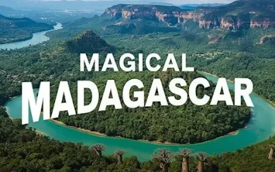 Magical Madagascar – postponed until 1st April 2026